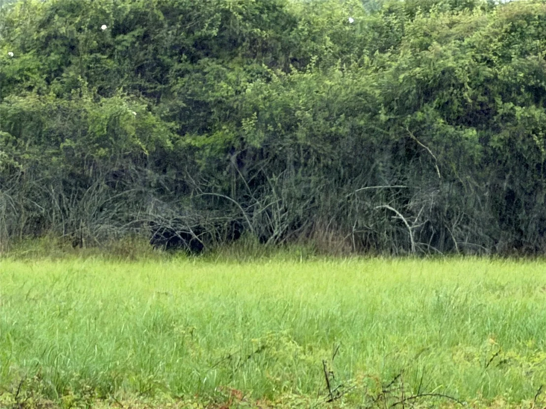 Photo of 0 Fm 616