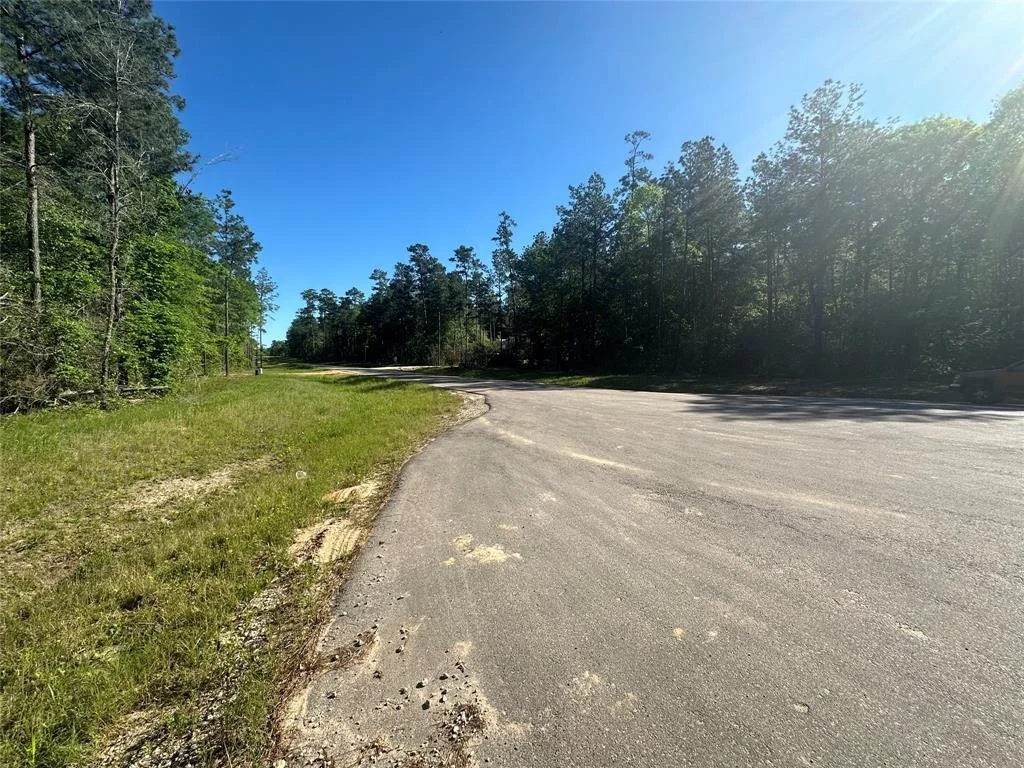 Photo of 15505 Republic Park Trail