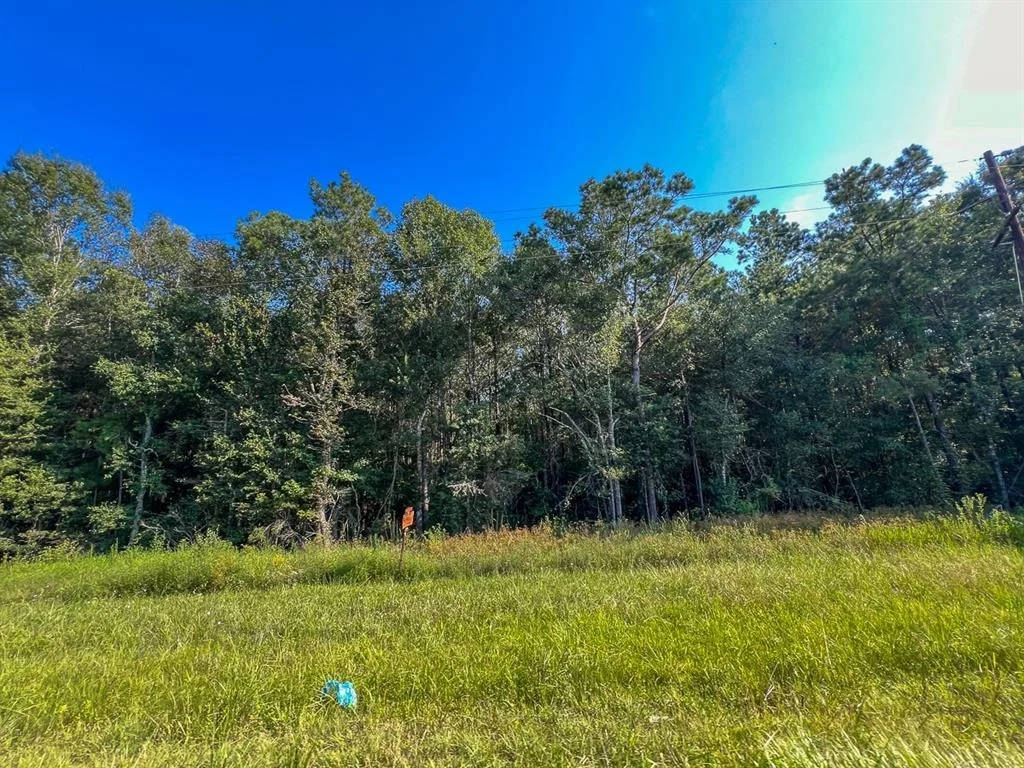 Photo of 2 Fm 2802