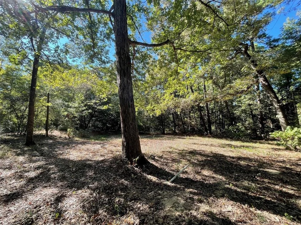 Photo of 11451 White Road