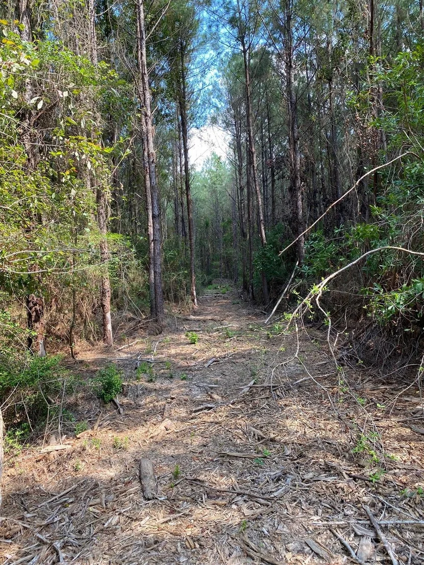 Photo of 19853 Ghost Road