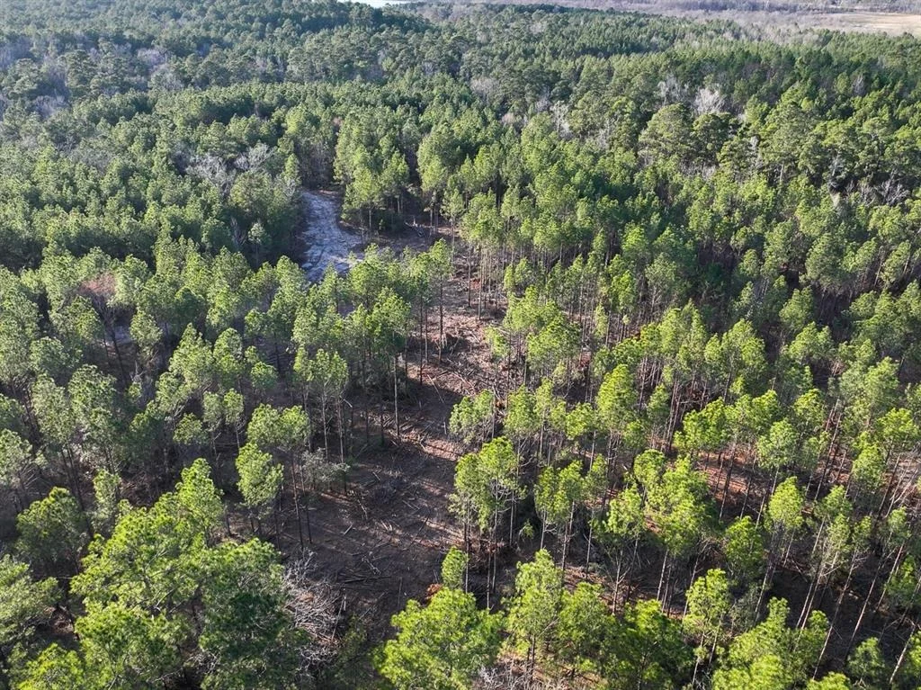 Photo of TBD Off Fm 355