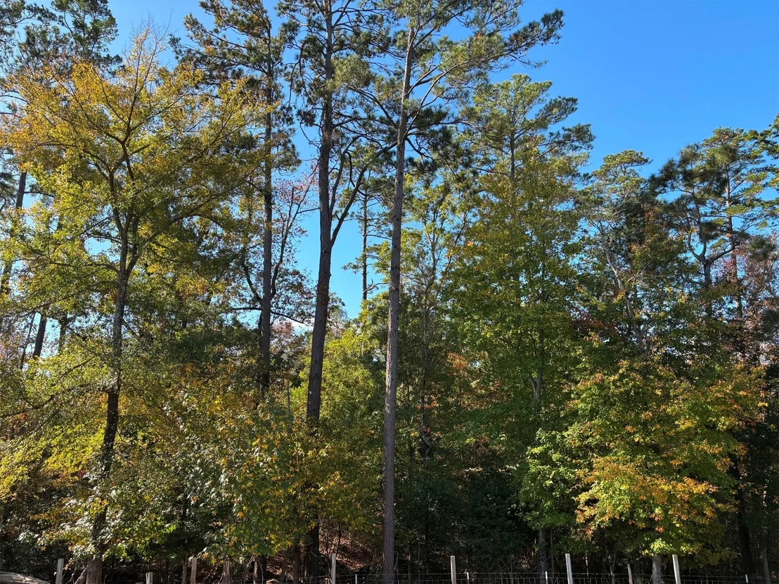 Photo of 196 Twisted Oaks Drive