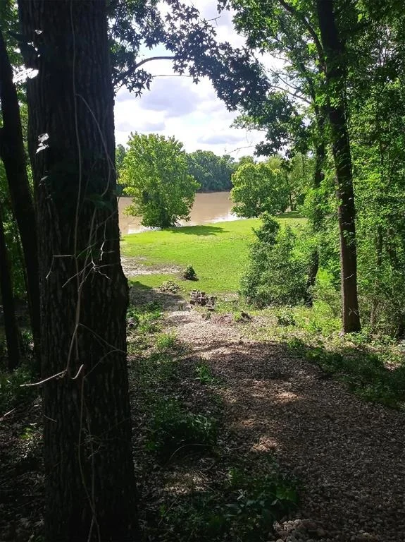 Photo of 12 Walker Trail