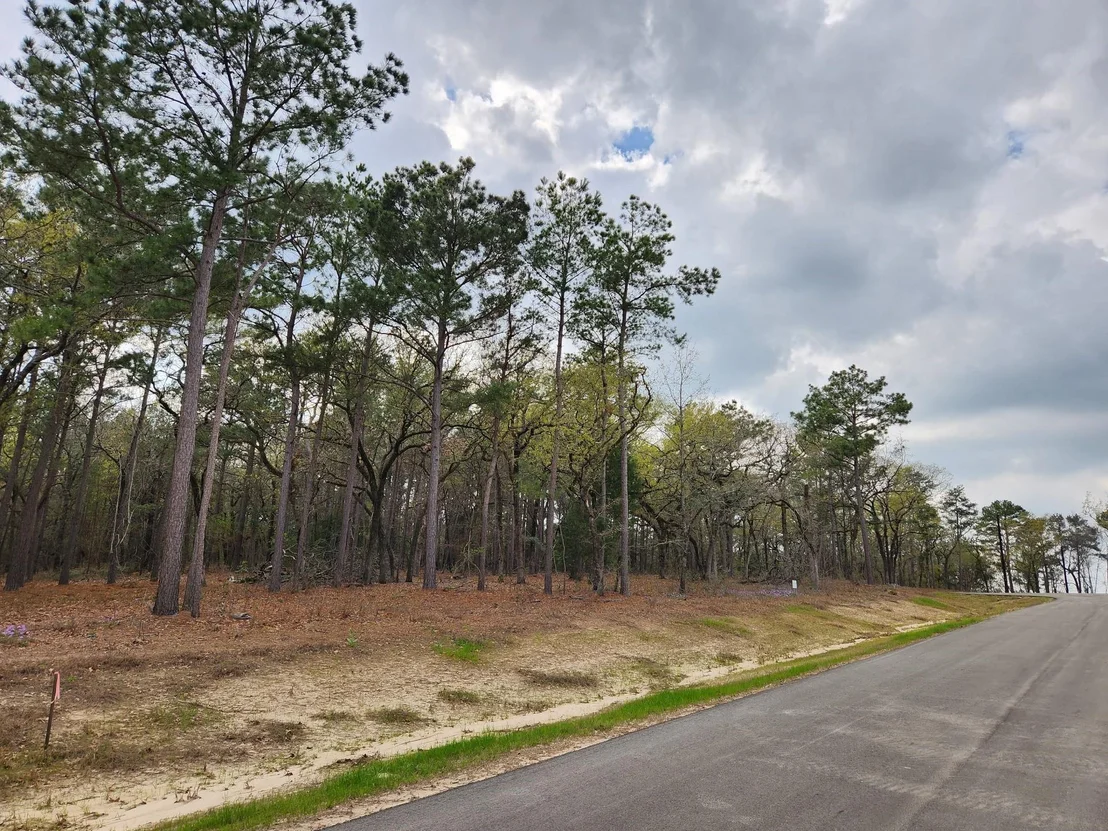 Photo of 3281 Shadow Pine Dr Lot