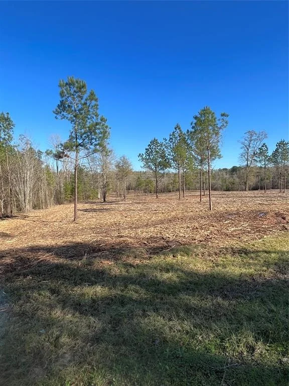 Photo of 10975 Highway 96 South