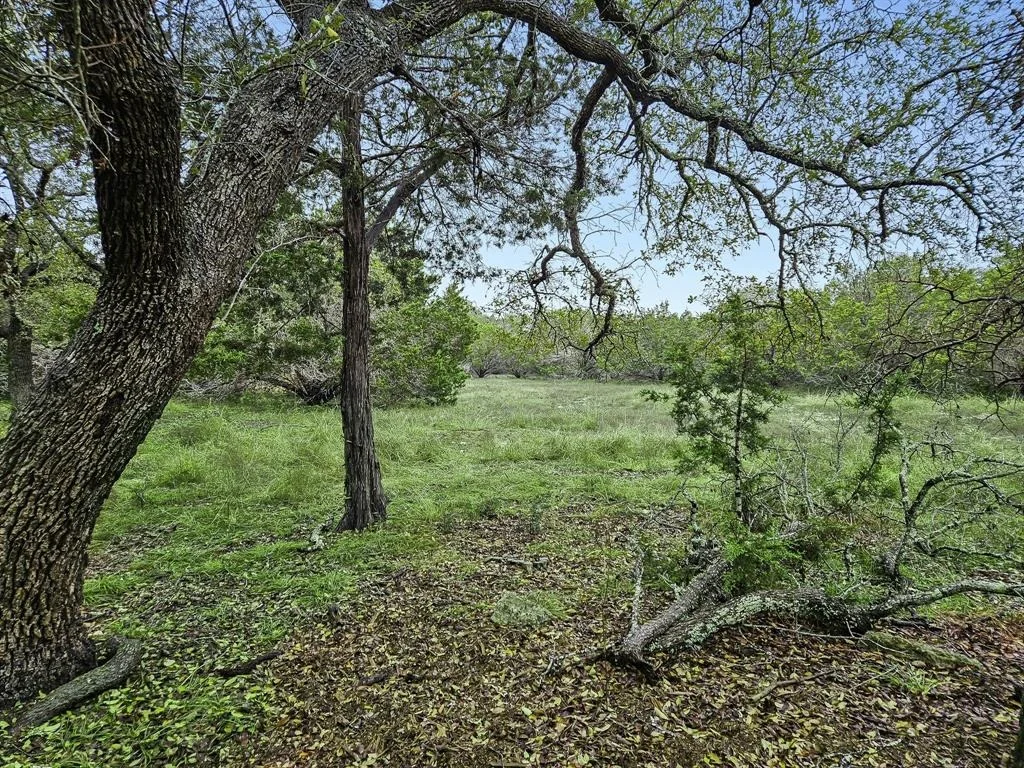 Photo of 157 Verbena Circle