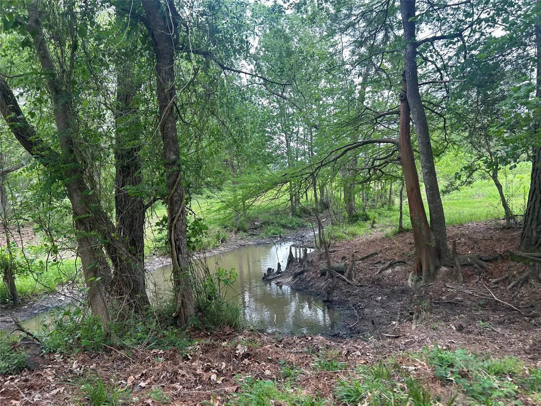 Photo of Lot 2 Minnie West Rd
