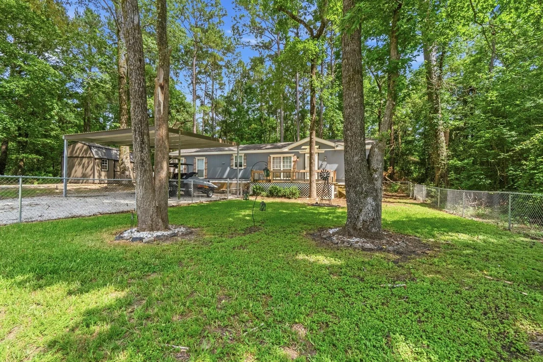 Photo of 165 Black Walnut