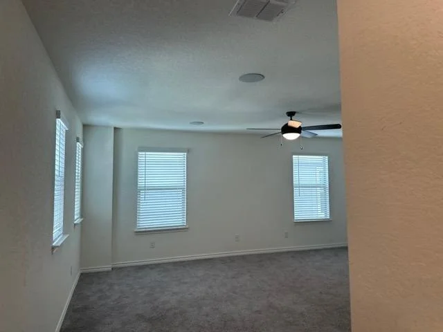 Photo of 29917 Sestra