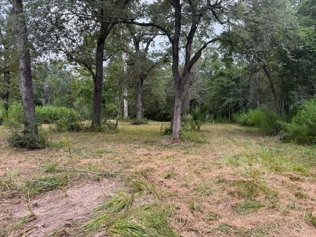 Photo of 25571 Kimbro Road