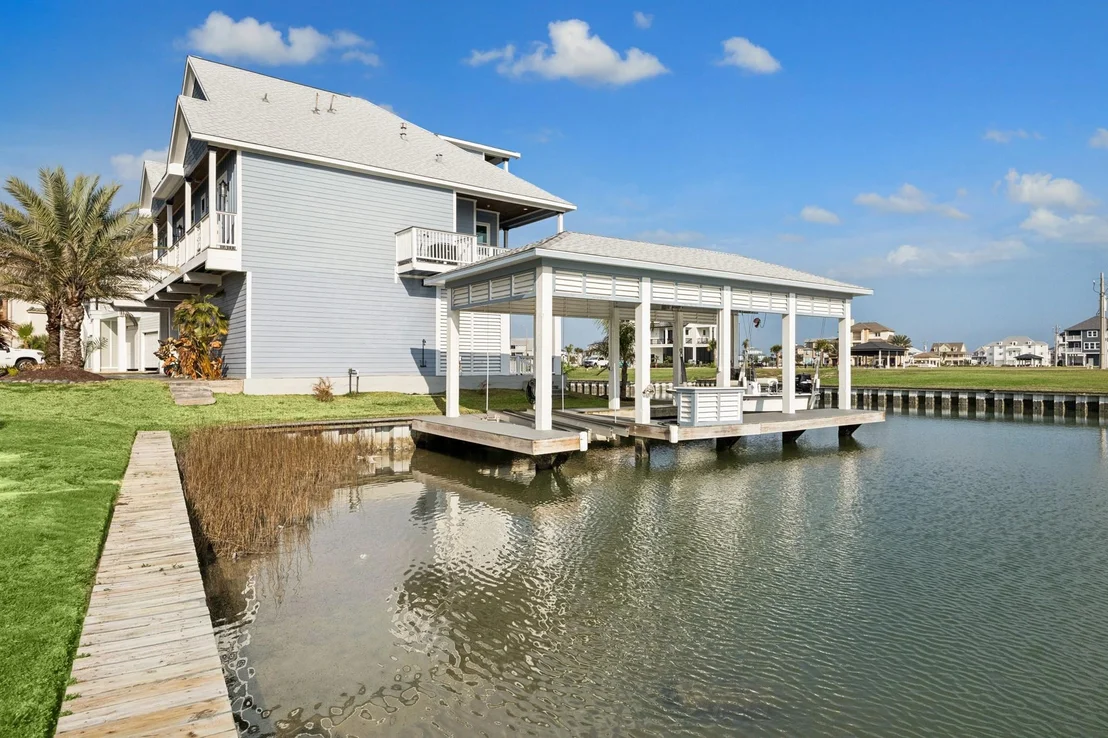Photo of 5 Loggerhead