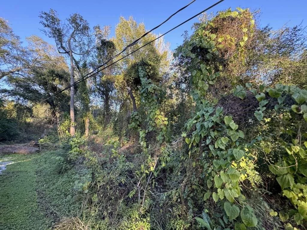 Photo of 1900 Link Avenue