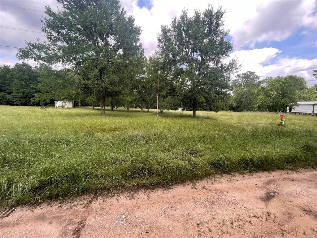 Photo of 2667 Pr 1195