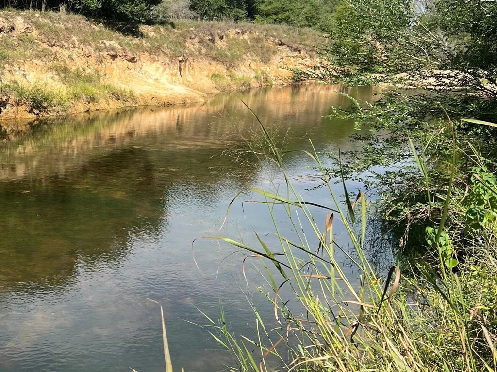 Photo of 0 Schultz Road