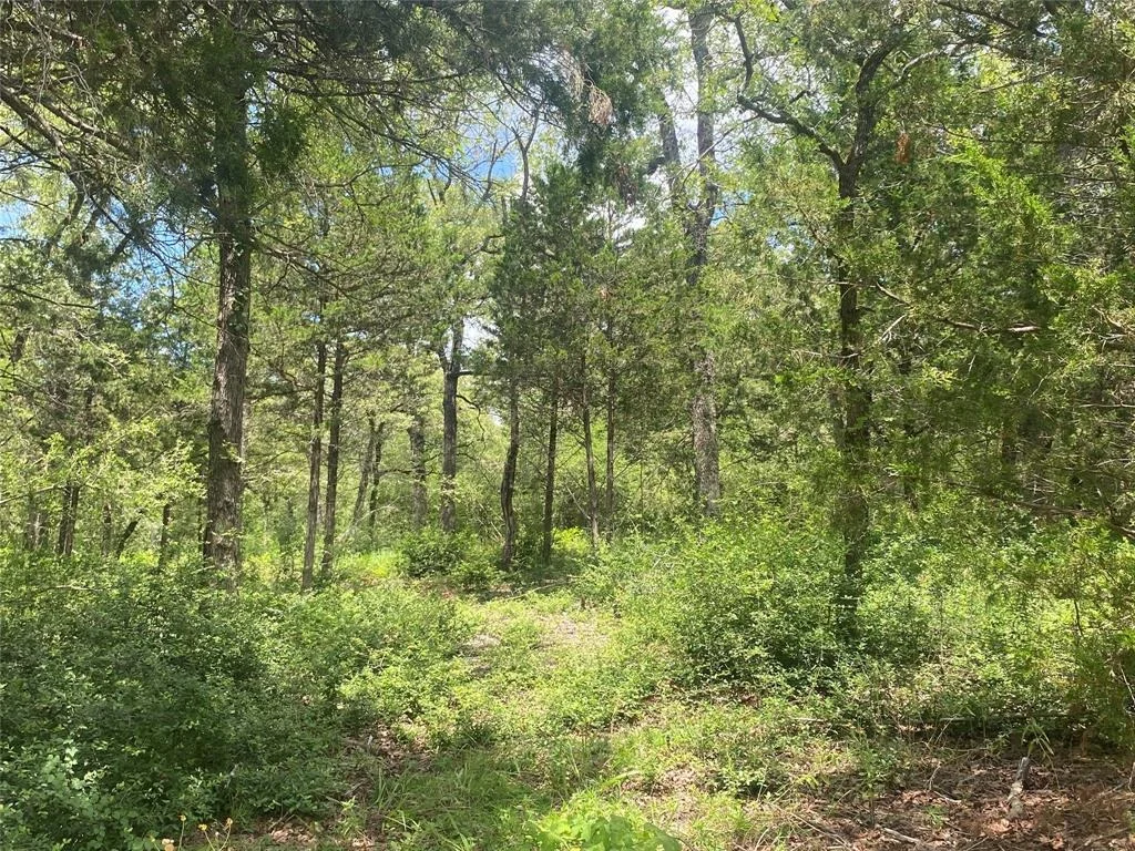 Photo of 1333 A Old Sayers Rd Road