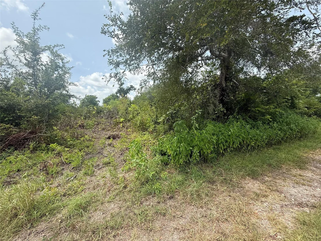 Photo of 4337 County Road 659a