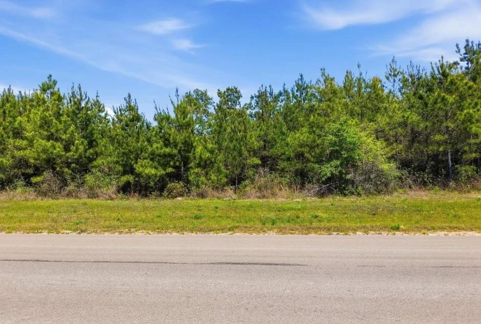 Photo of 16166 Forest Mill Road