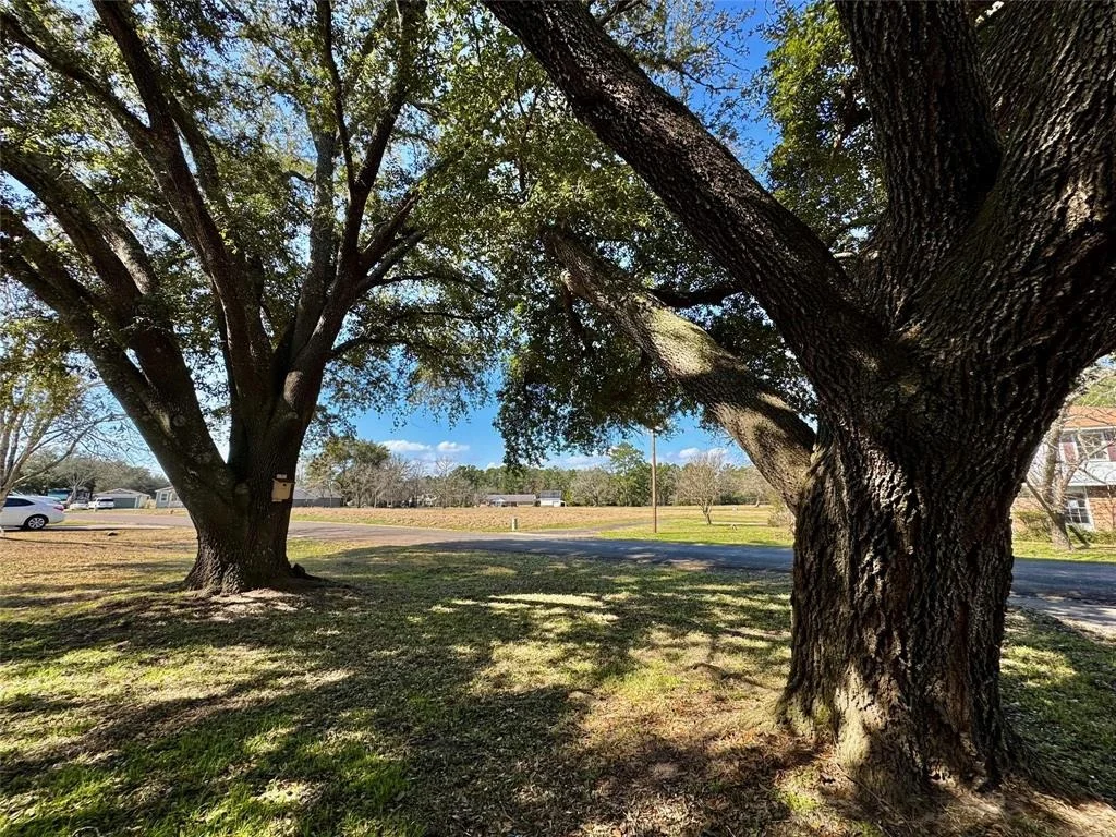 Photo of 88 Coral Gables