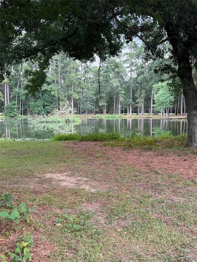 Photo of 11 Holly Tree Lane