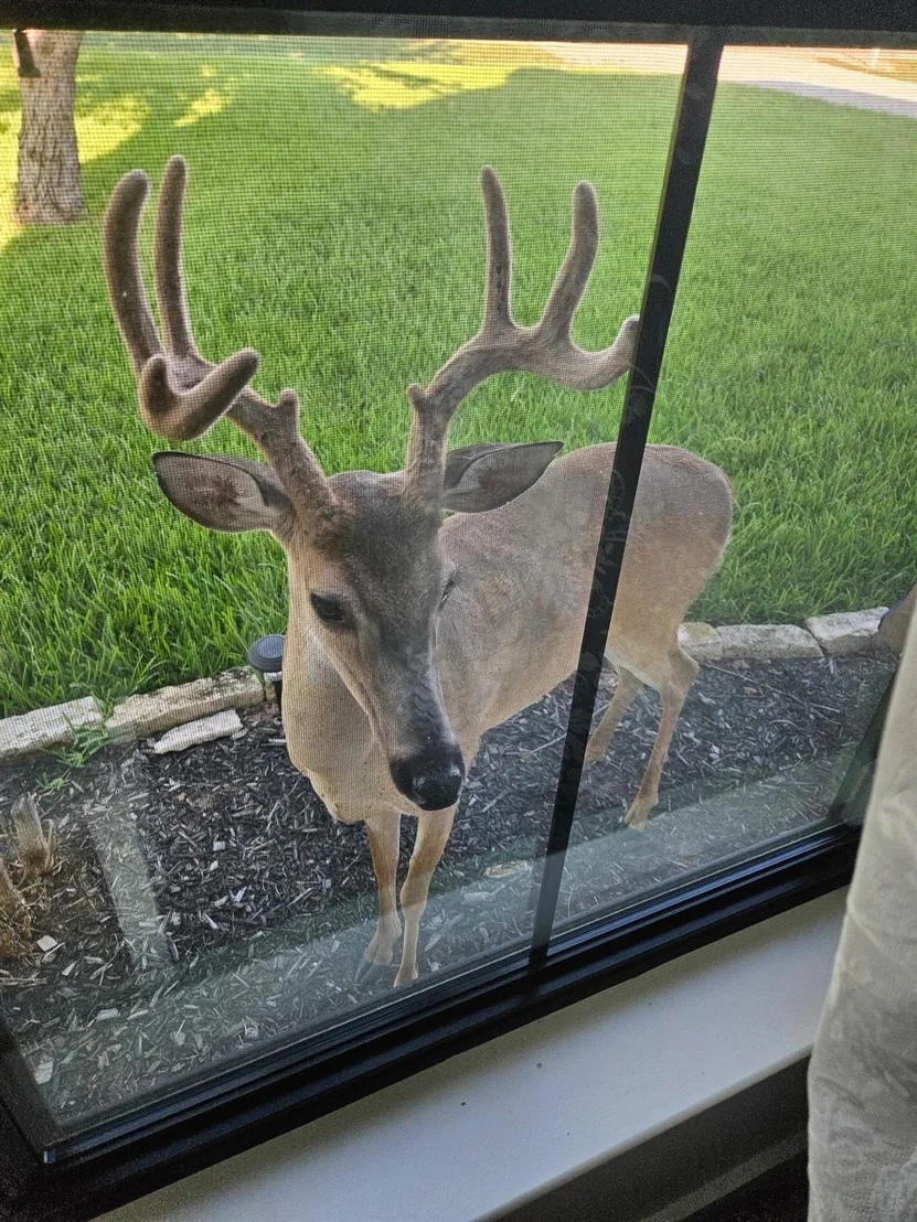 Photo of 2701 Bluebonnet Boulevard