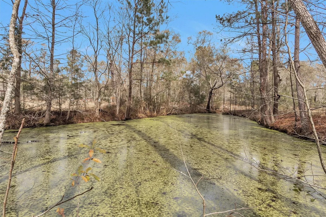 Photo of 10067 White Rock Road