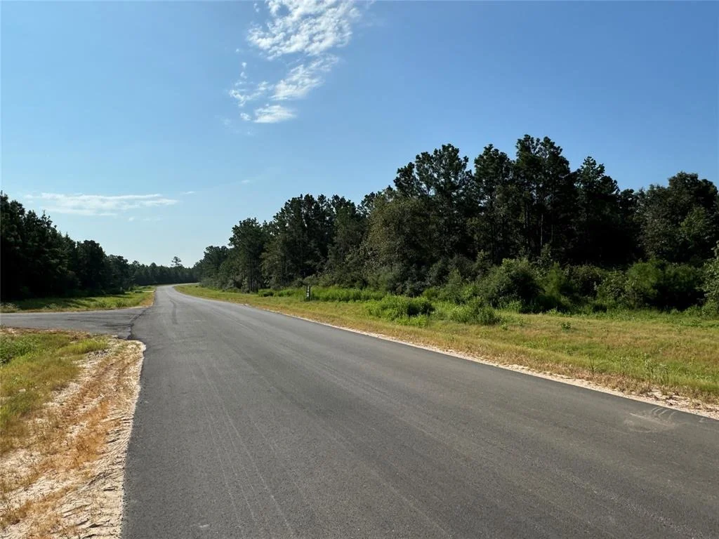 Photo of 11682 Grand North Road
