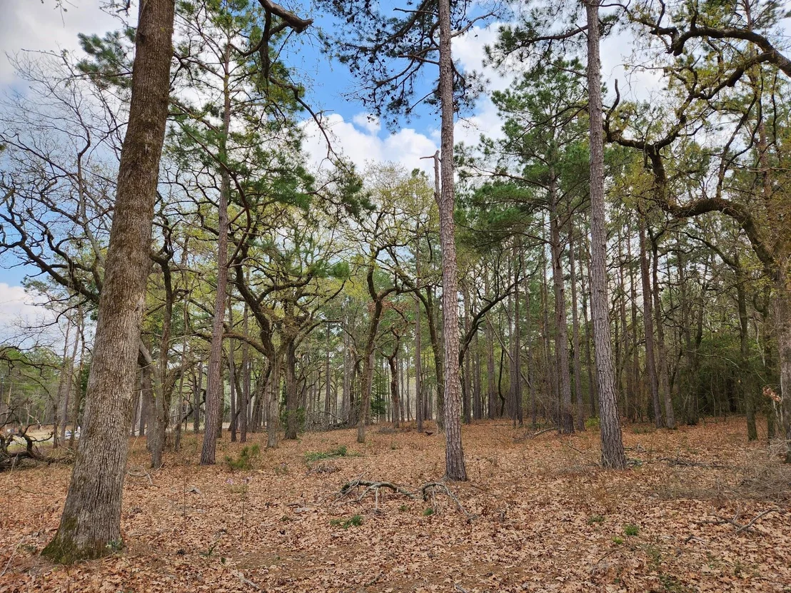 Photo of 3281 Shadow Pine Dr Lot