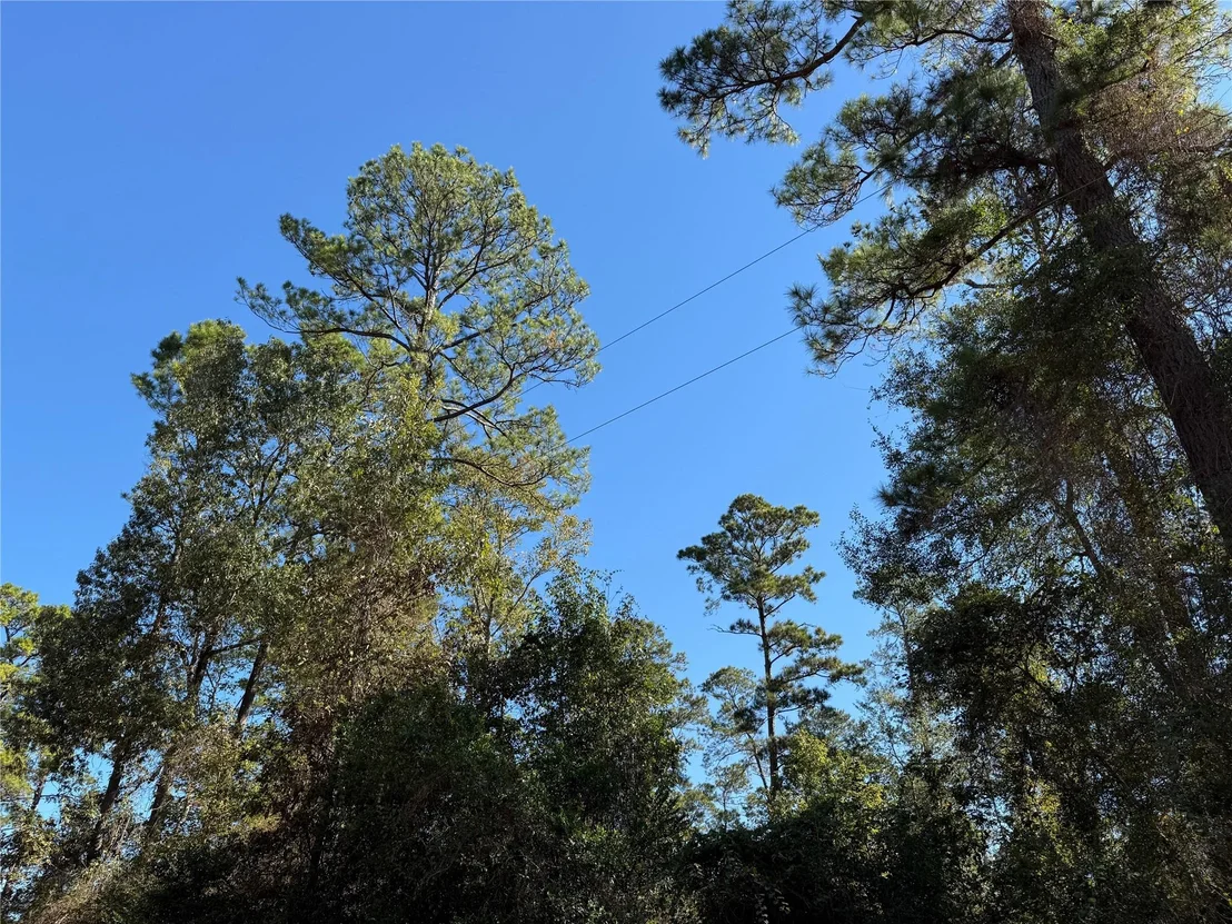 Photo of T-5 Eldridge Road