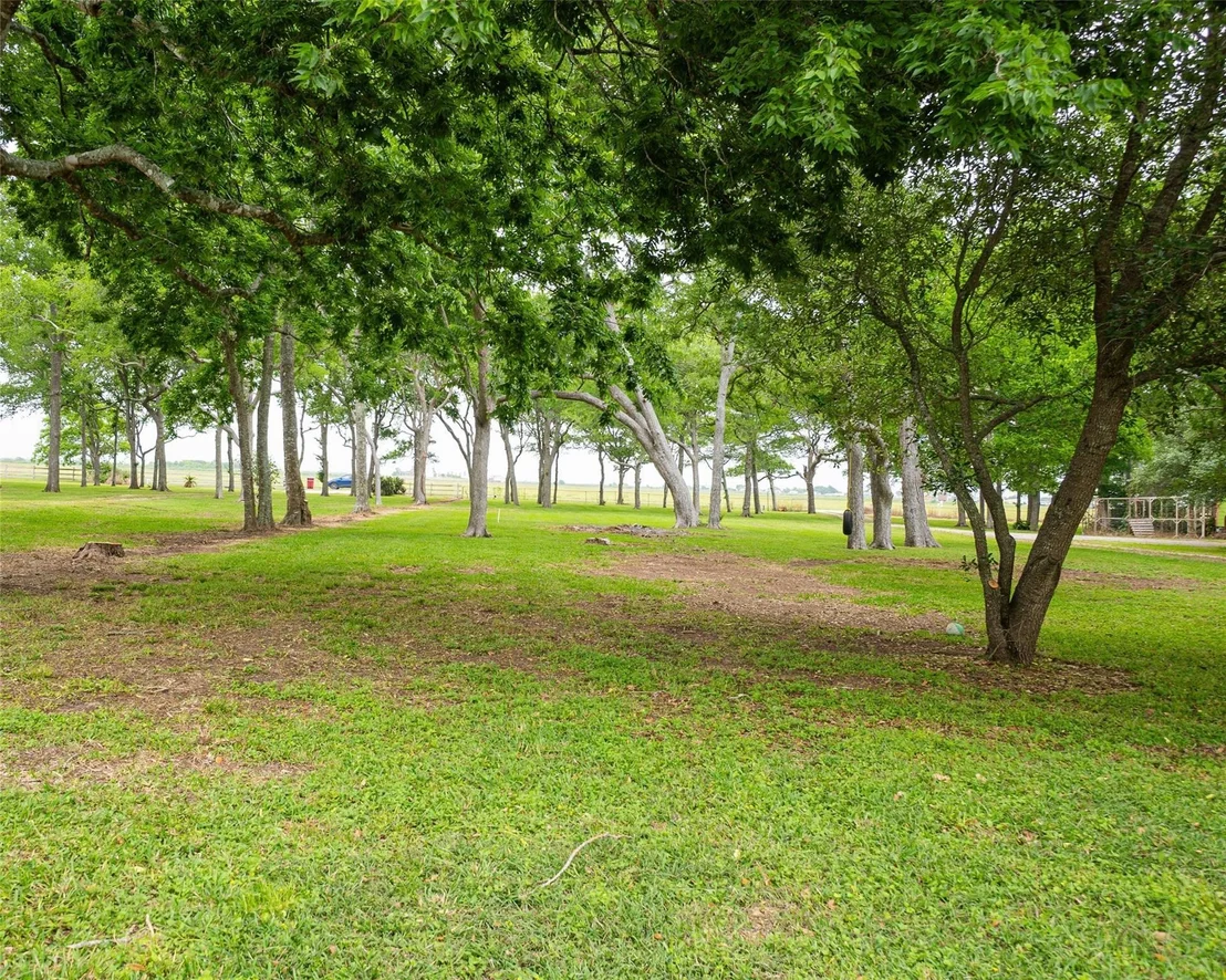 Photo of 357 County Road 296