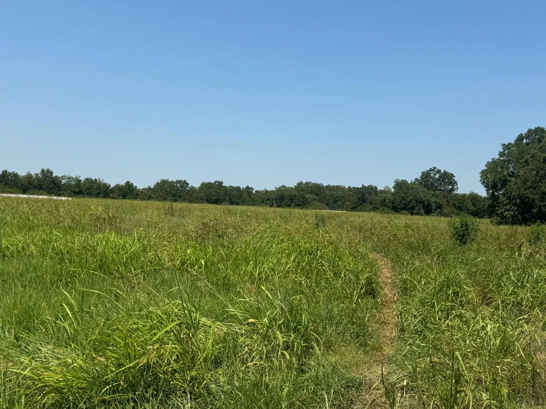 Photo of TBD County Road 230