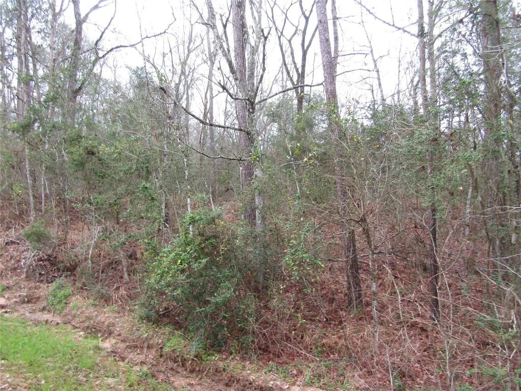 Photo of 0 E Acorn Drive
