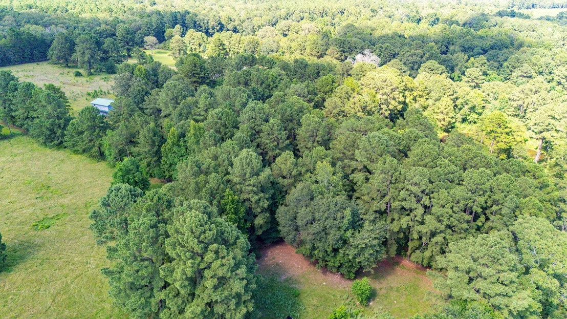 Photo of 1533 County Road 348
