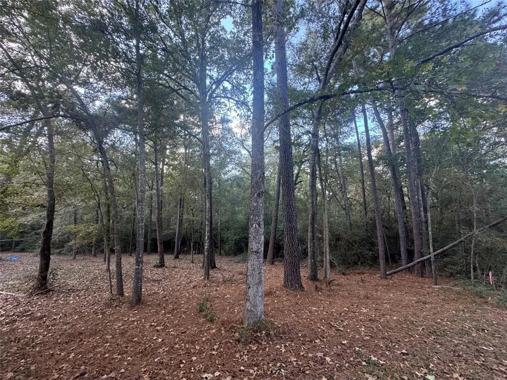 Photo of 45 Great Oak
