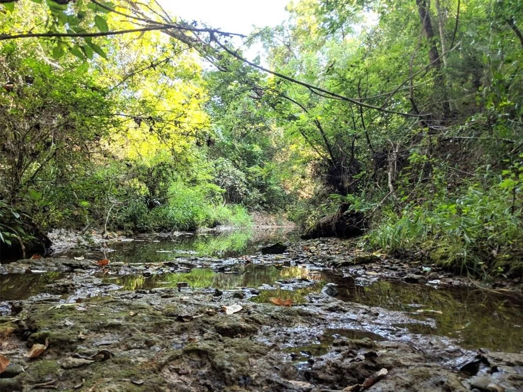 Photo of 2700 Spring Branch Road