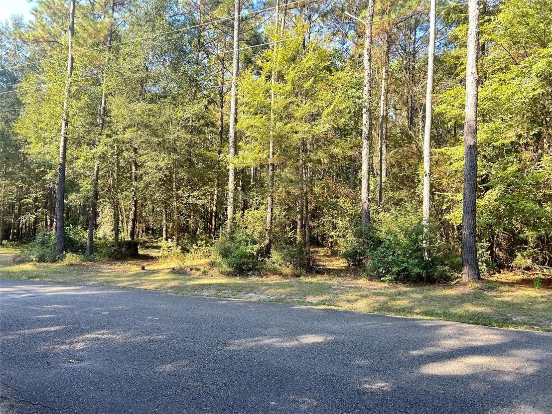 Photo of 24445 Pipestem Drive