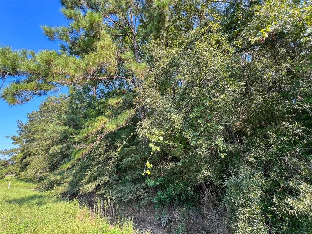Photo of 1 Fm 2802