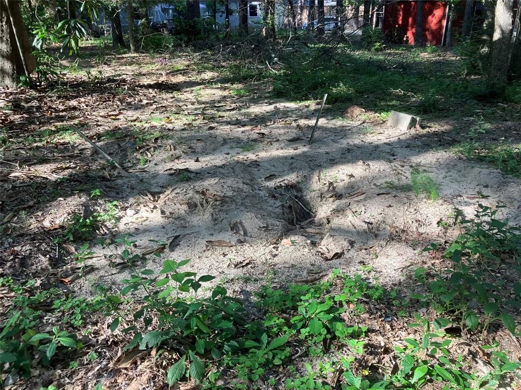 Photo of 11451 White Road