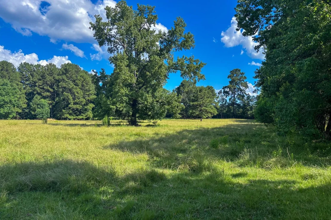 Photo of 1533 County Road 348