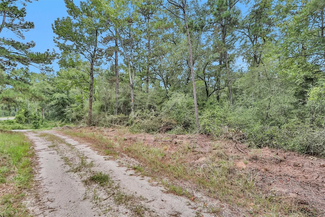 Photo of 328 Dogwood Forest Trail