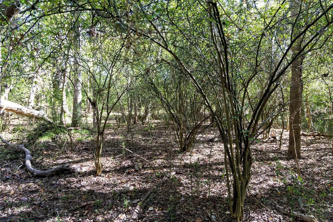 Photo of 202 County Road 142b