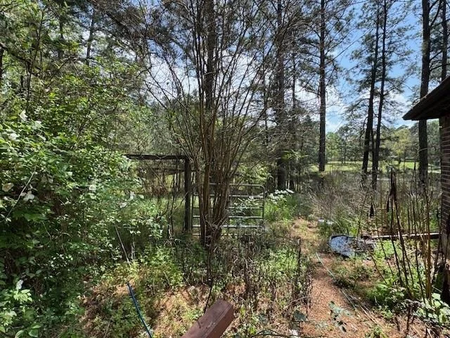 Photo of 24 Lakewood