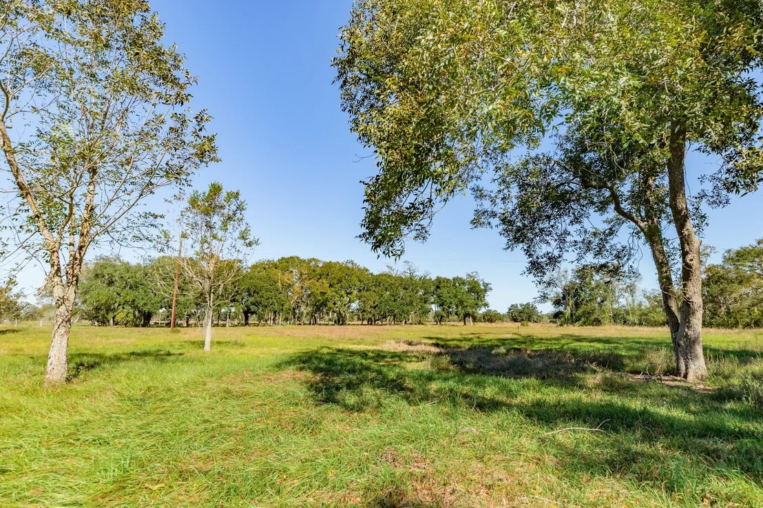 Photo of 1005 County Road 164