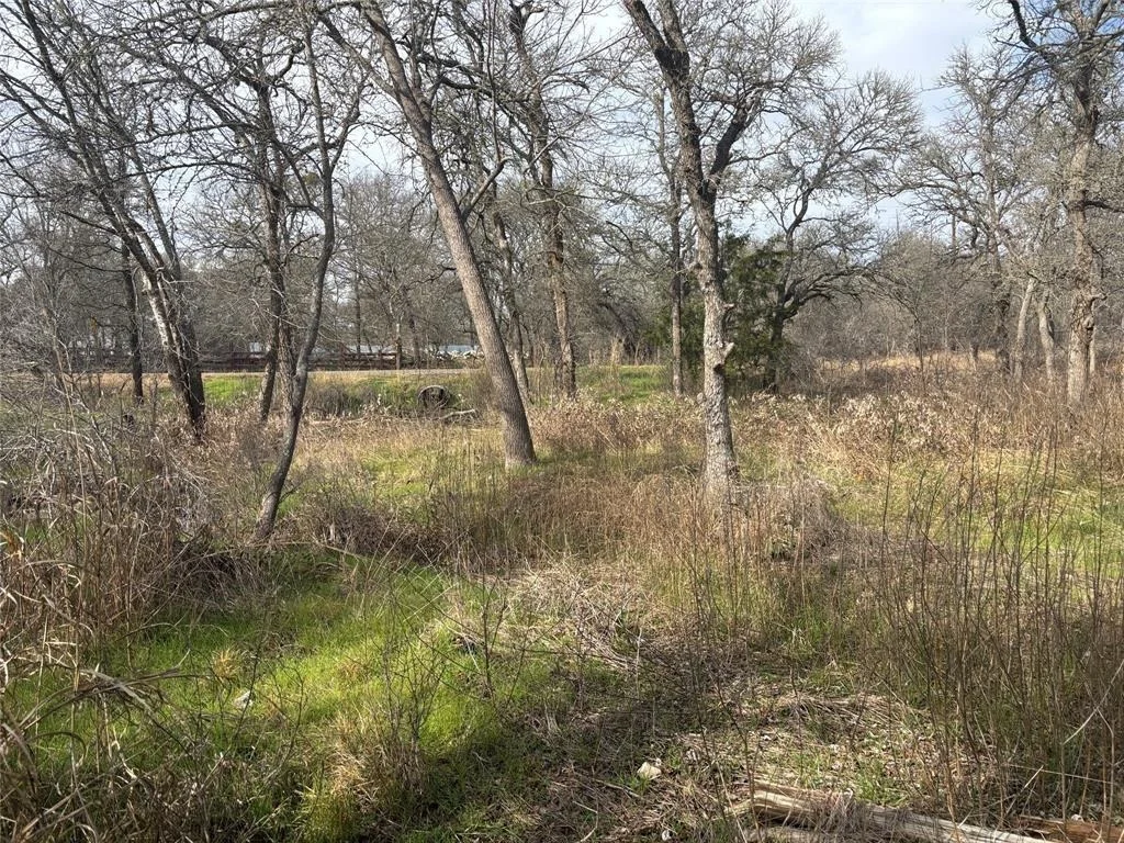 Photo of 245 Elm Forest Loop
