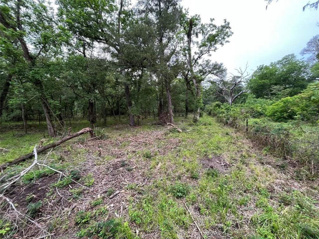 Photo of 2872 Brazoria County Road