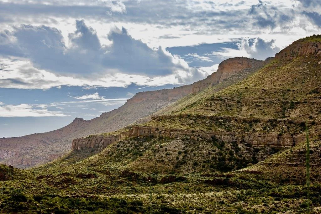 Photo of TBD Tesnus