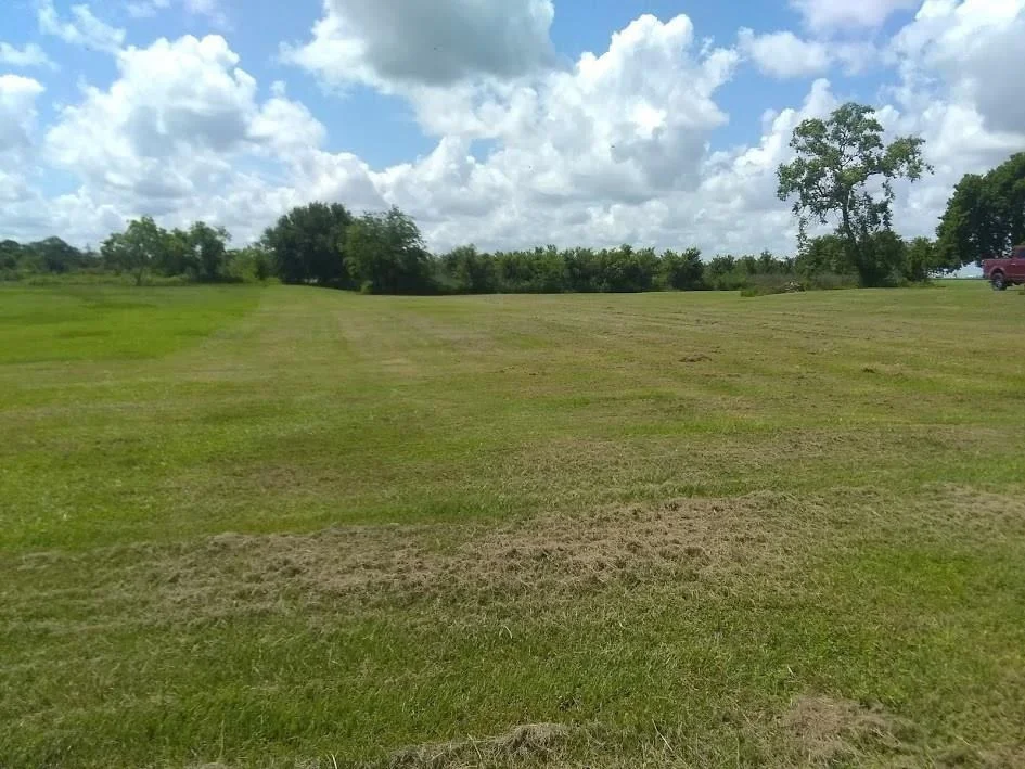 Photo of 1146 County Road 444