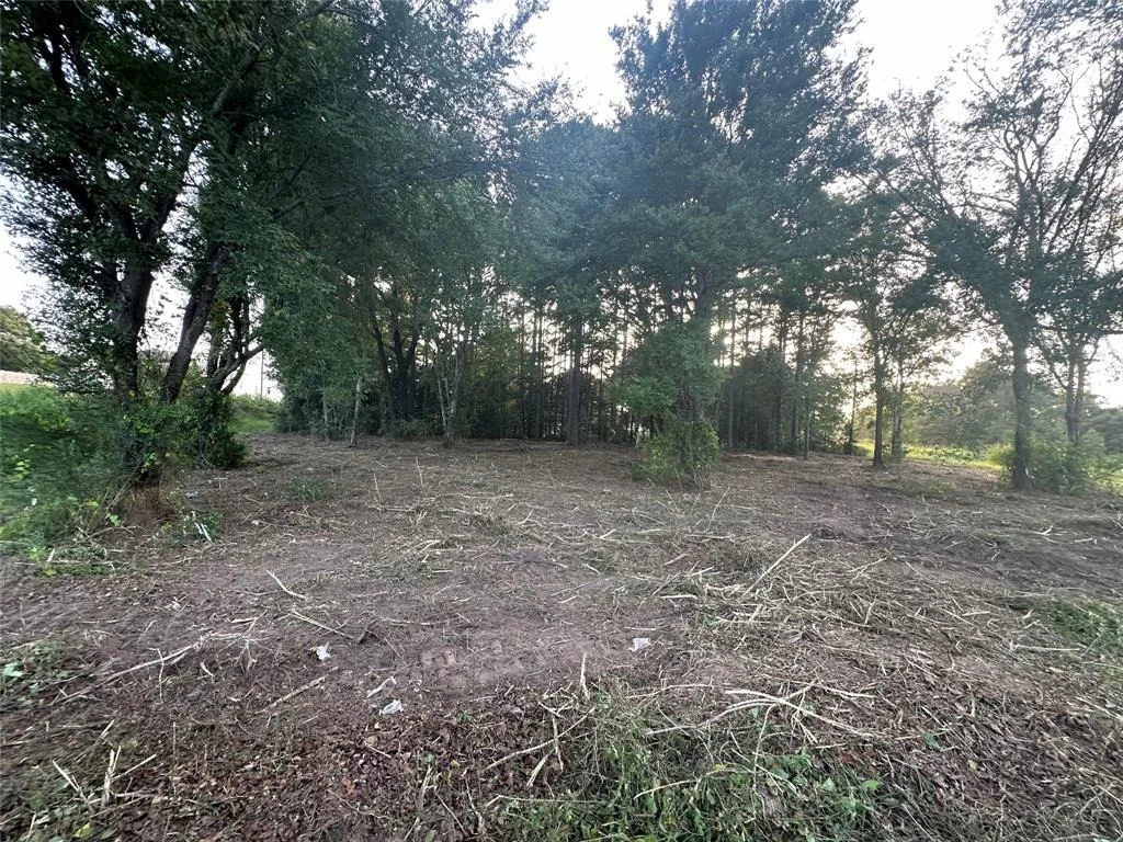 Photo of TBD Lot 9 C R 386