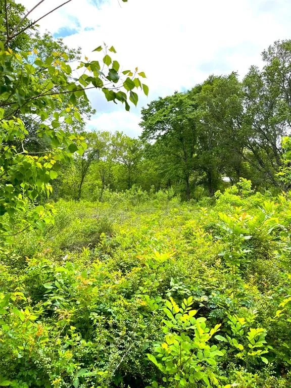 Photo of 5135 County Road 288