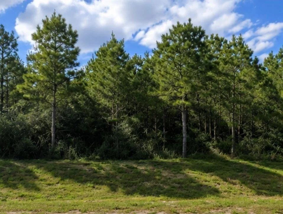 Photo of 12745 Oak Barrel Road